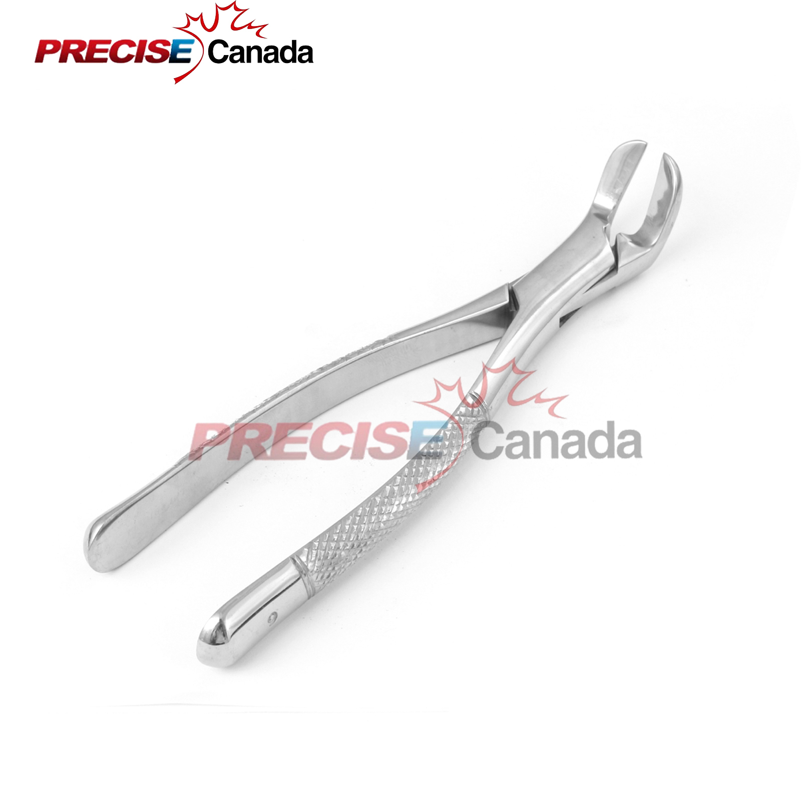 Extracting Forceps # 6 Dental Surgical Instruments Dental Extraction Forceps