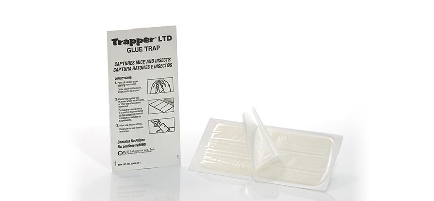 12 Mouse Glue Boards Mouse Traps Trapper LTD Mice Traps Insect Spider Traps