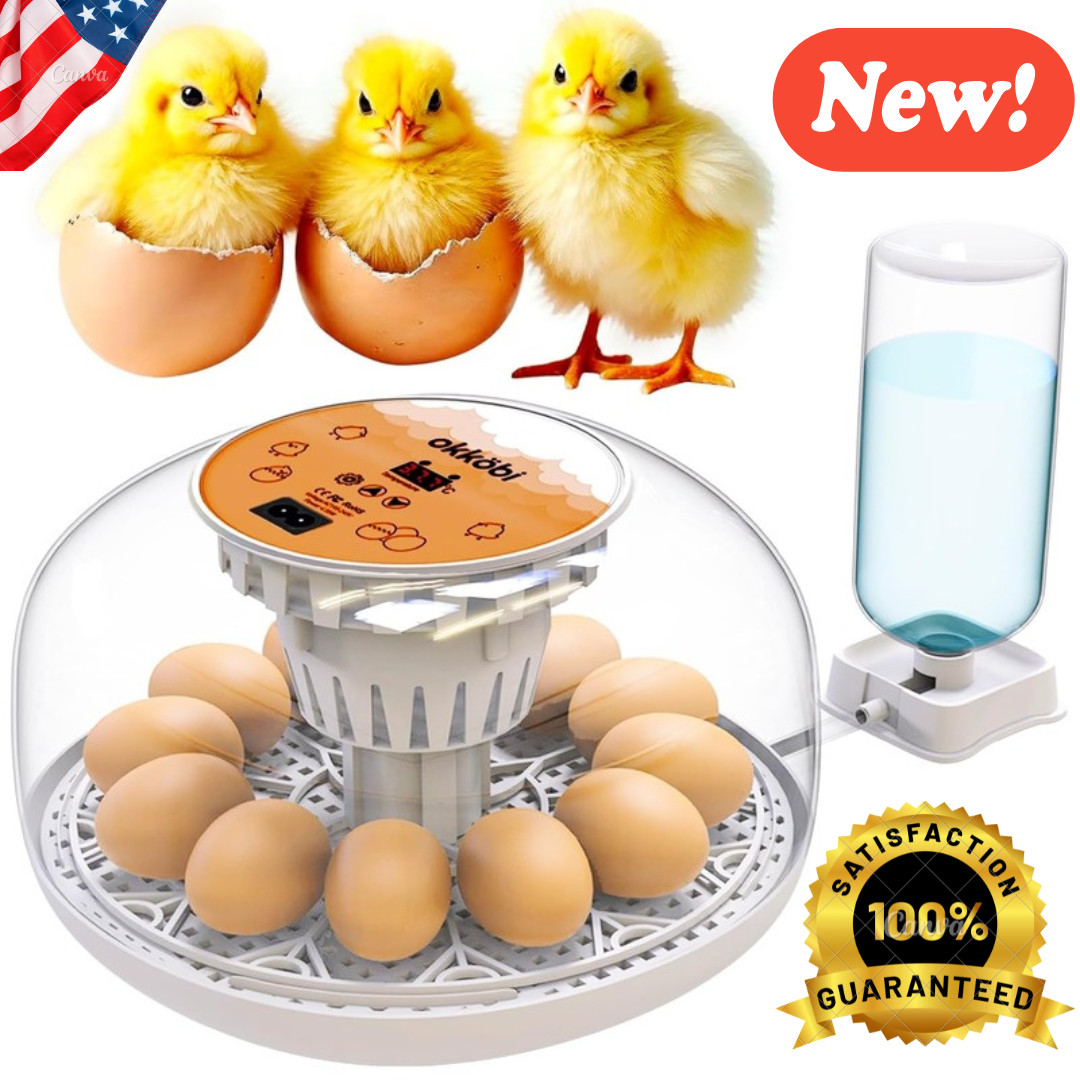 12 Egg Incubator with Automatic Egg Turning and Humidity Display