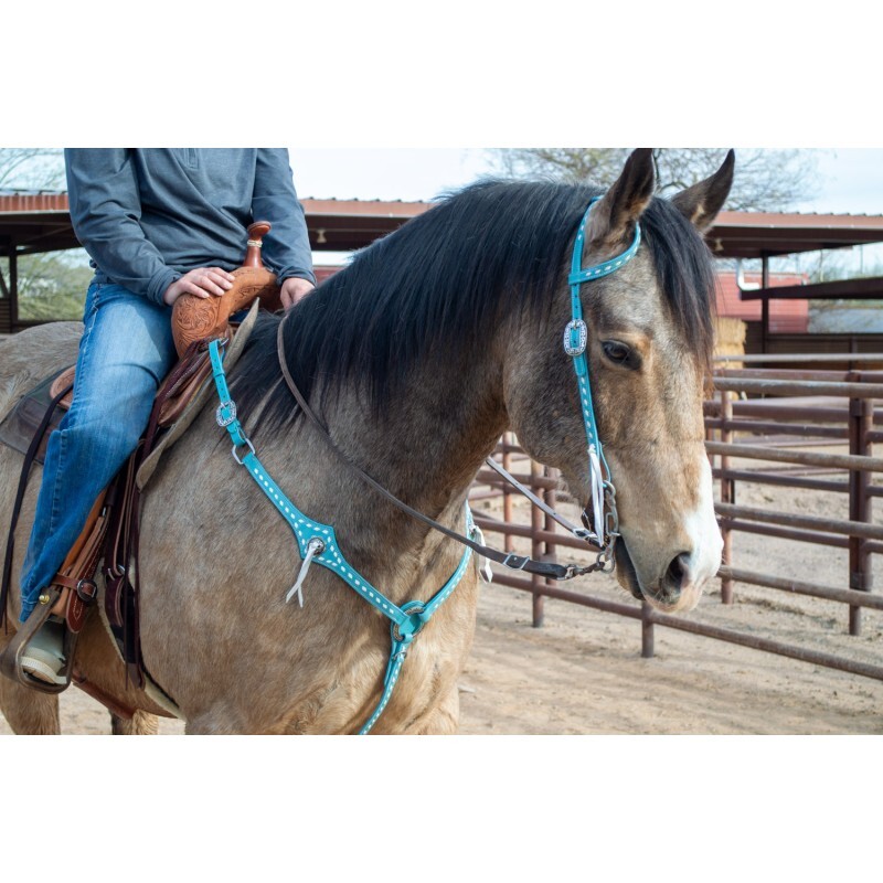 Schulz Equine Turquoise Leather Headstall and Breast Collar Tack Set 71861