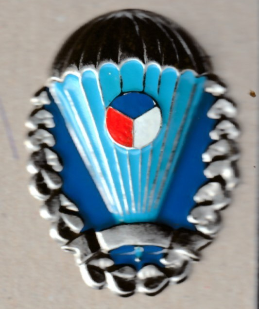 Czech air force/army para wing screw/bold at the reverse badge insignia