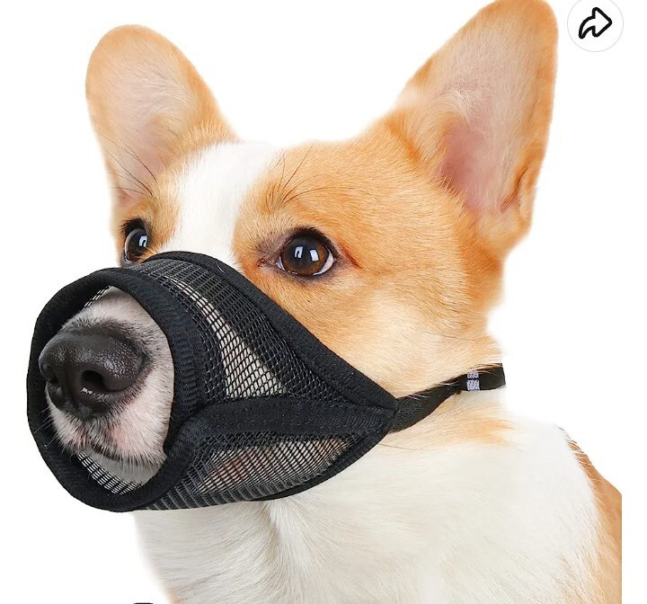 Dog Muzzle Adjustable Anti Bark Bite Lick Mask Mouth Guard Groom Pet Supplies