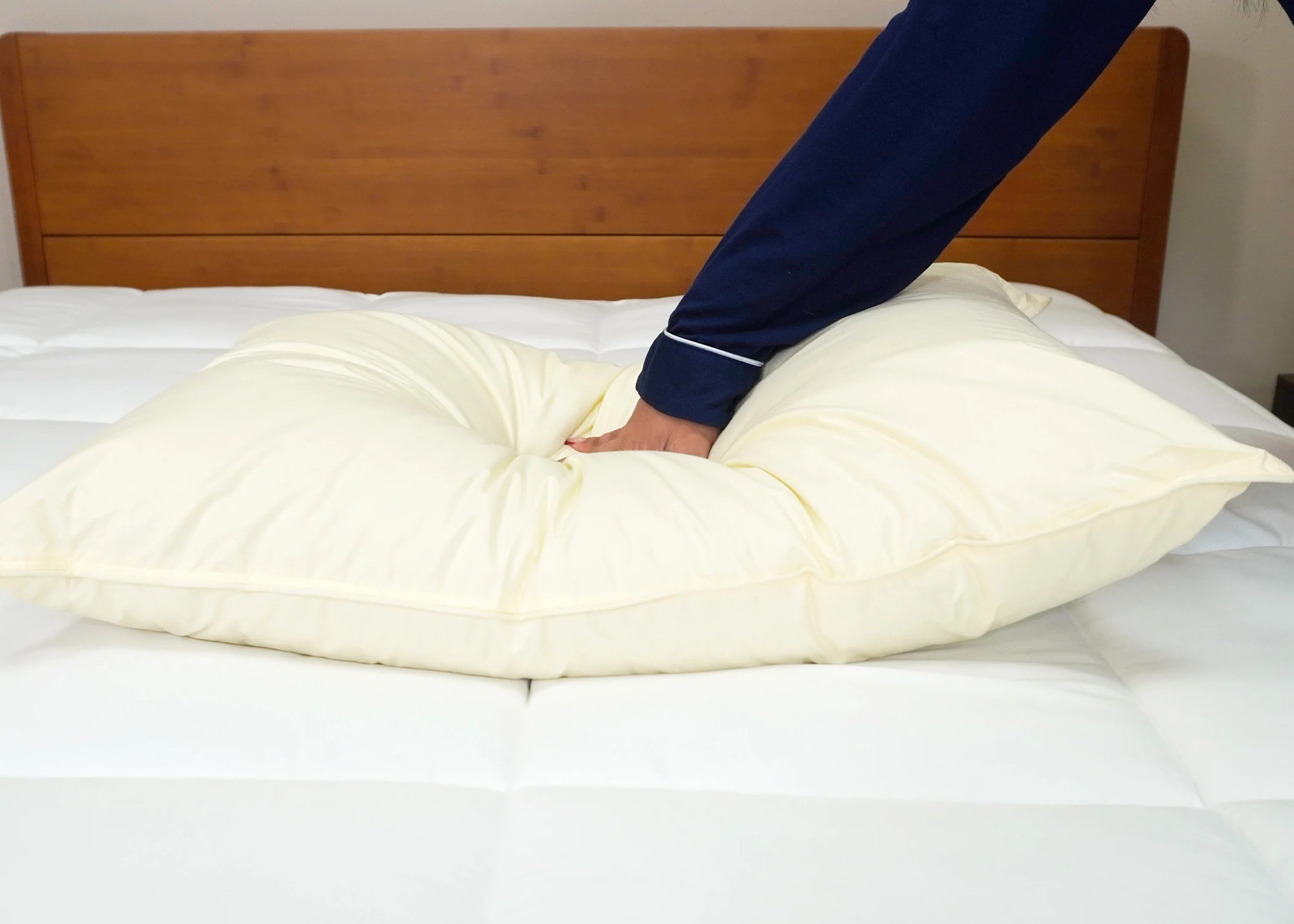 Down Etc. Aquaplush Pillow