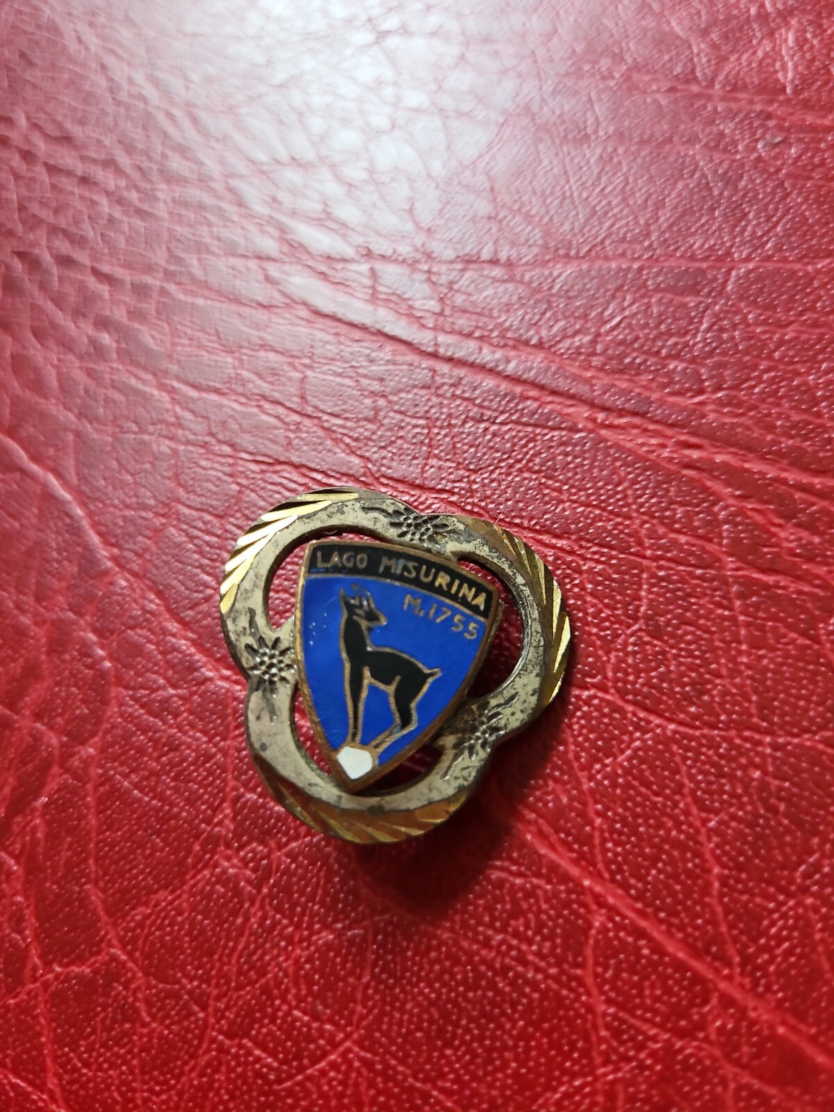 Pin hatpin hiking pin brooch Lago Misurina M.1755