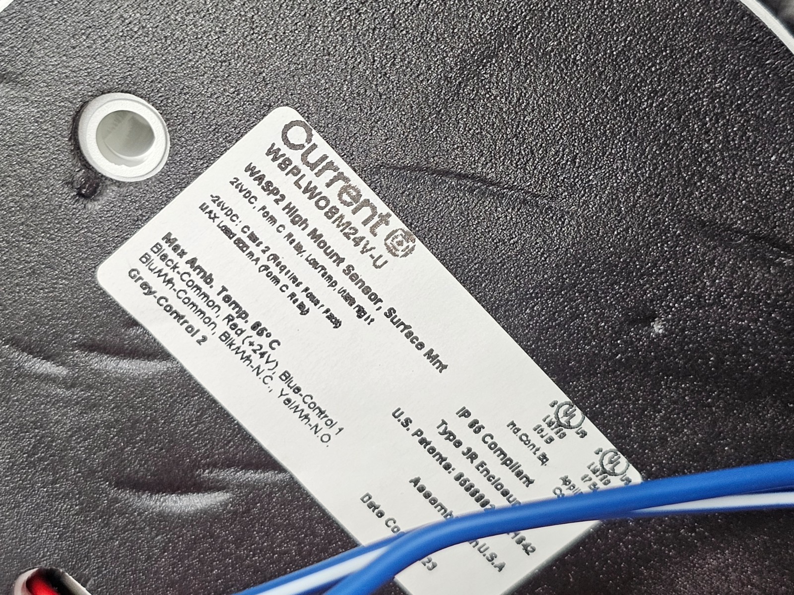 Current WSPLWOSM24V-U WASP2 High Mount Sensor Surface Mount 24VDC Watertight