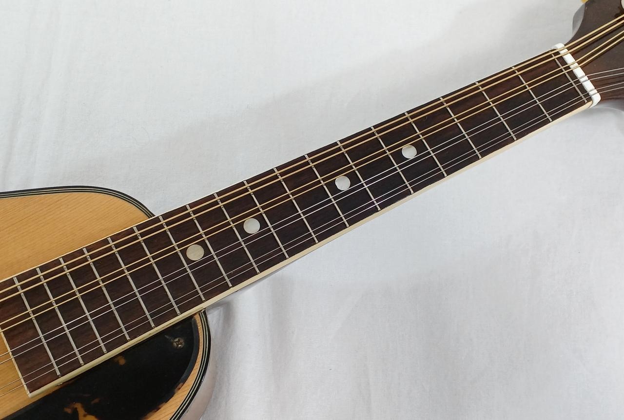 MORENA Flat Mandolin