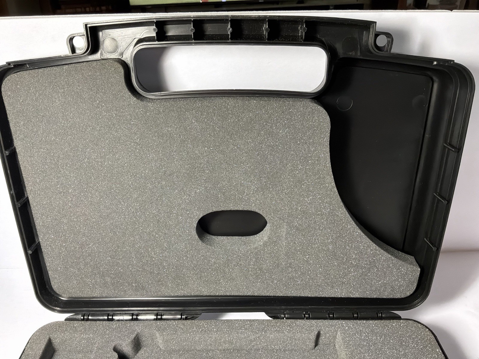 SigArms Pistol Case