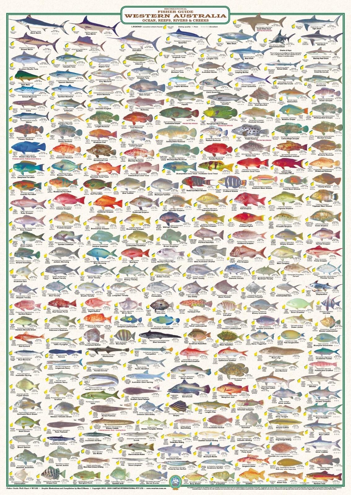 Australian Fish Identification - Fisherman's Guide WA - LAM - CAMTAS WALL CHART