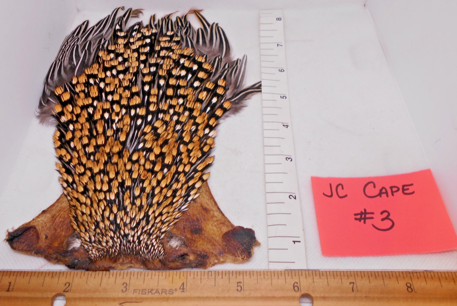 Jungle Cock Cape - Grade B / Tyer's Grade - For Fly Tying
