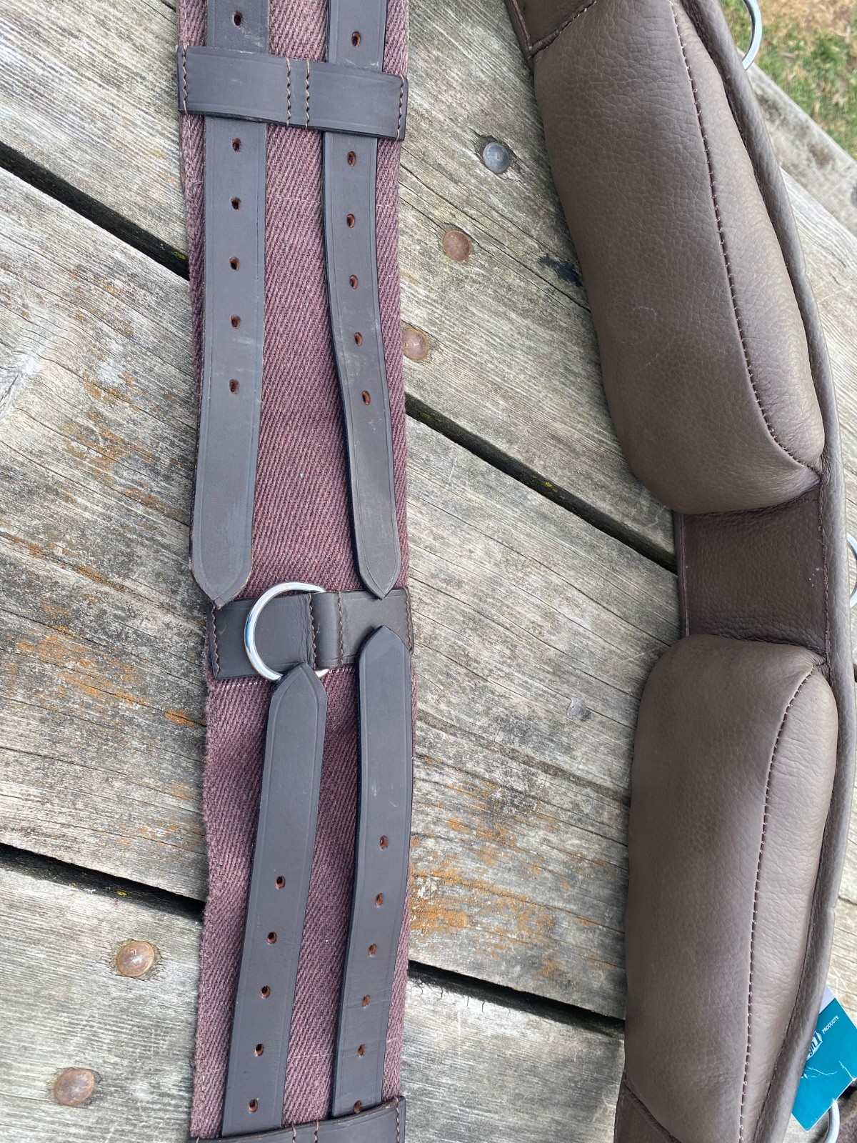 Draft horse size lunging/training surcingle cotton web w/leather