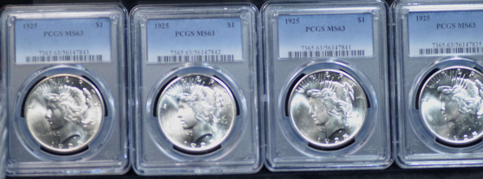 LOT OF (4) 1925 PEACE DOLLARS PCGS MS 63 GREAT FLASHY WHITE FROSTED LUSTER, FULL