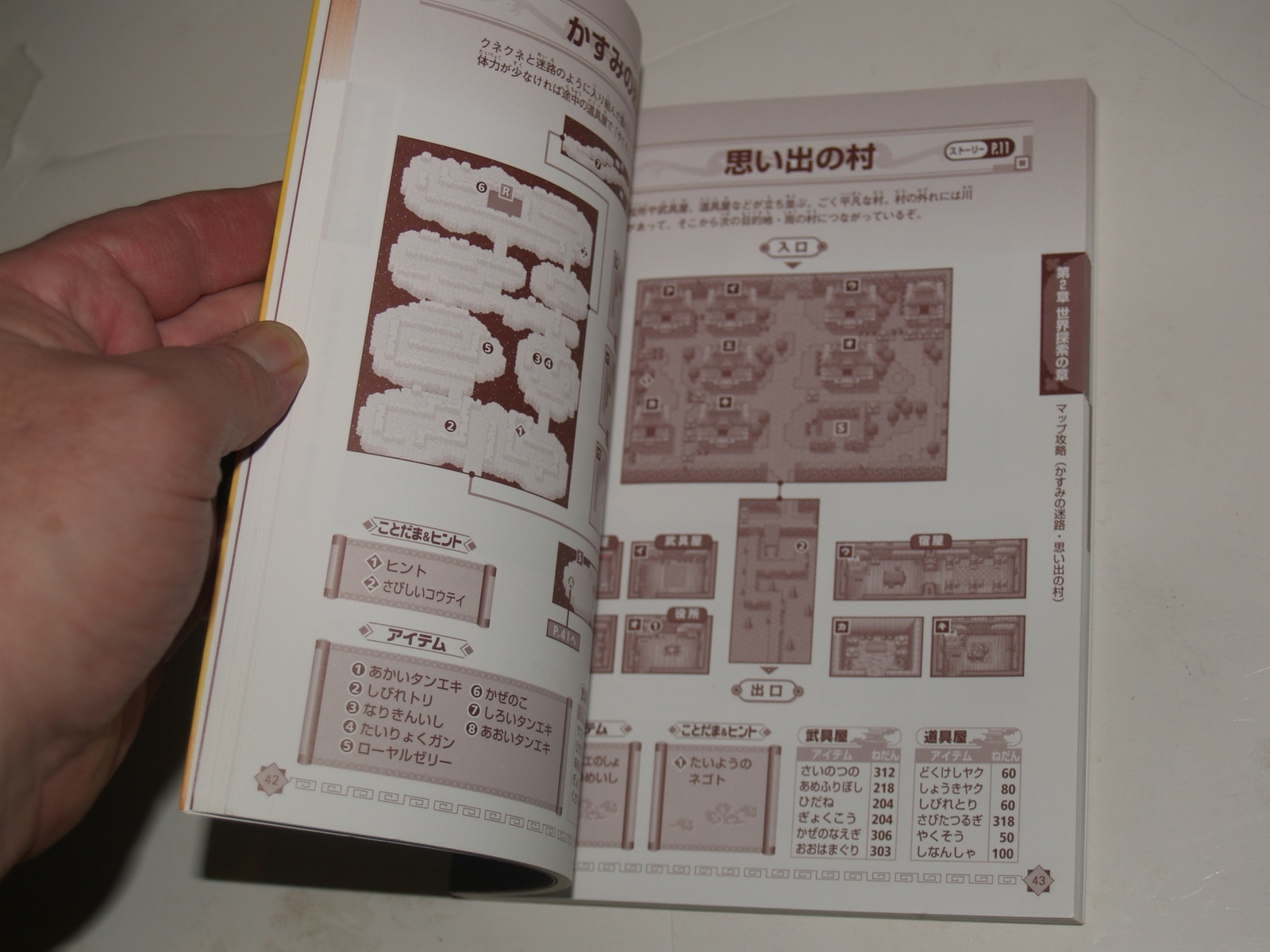 Magical Houshin Advanced Guide- in Japanese-9784877199708