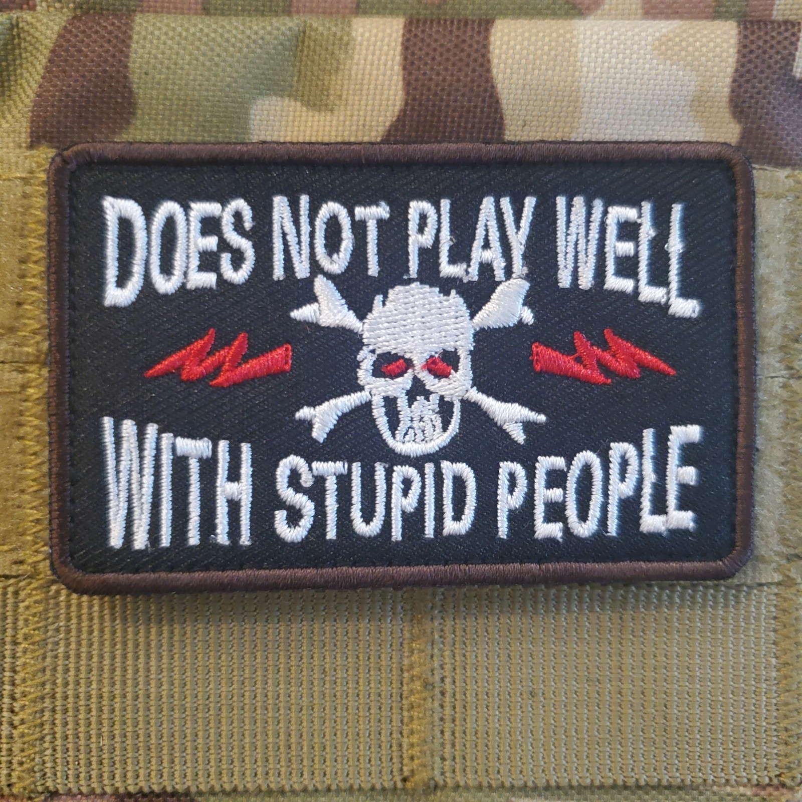 DOES NOT PLAY WELL WITH STUPID PEOPLE Sarcastic Morale Patch Hook and Loop