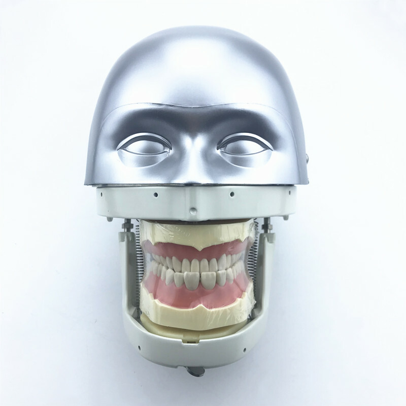 Dental Simulator Manikin Phantom Head practical exercises Head model