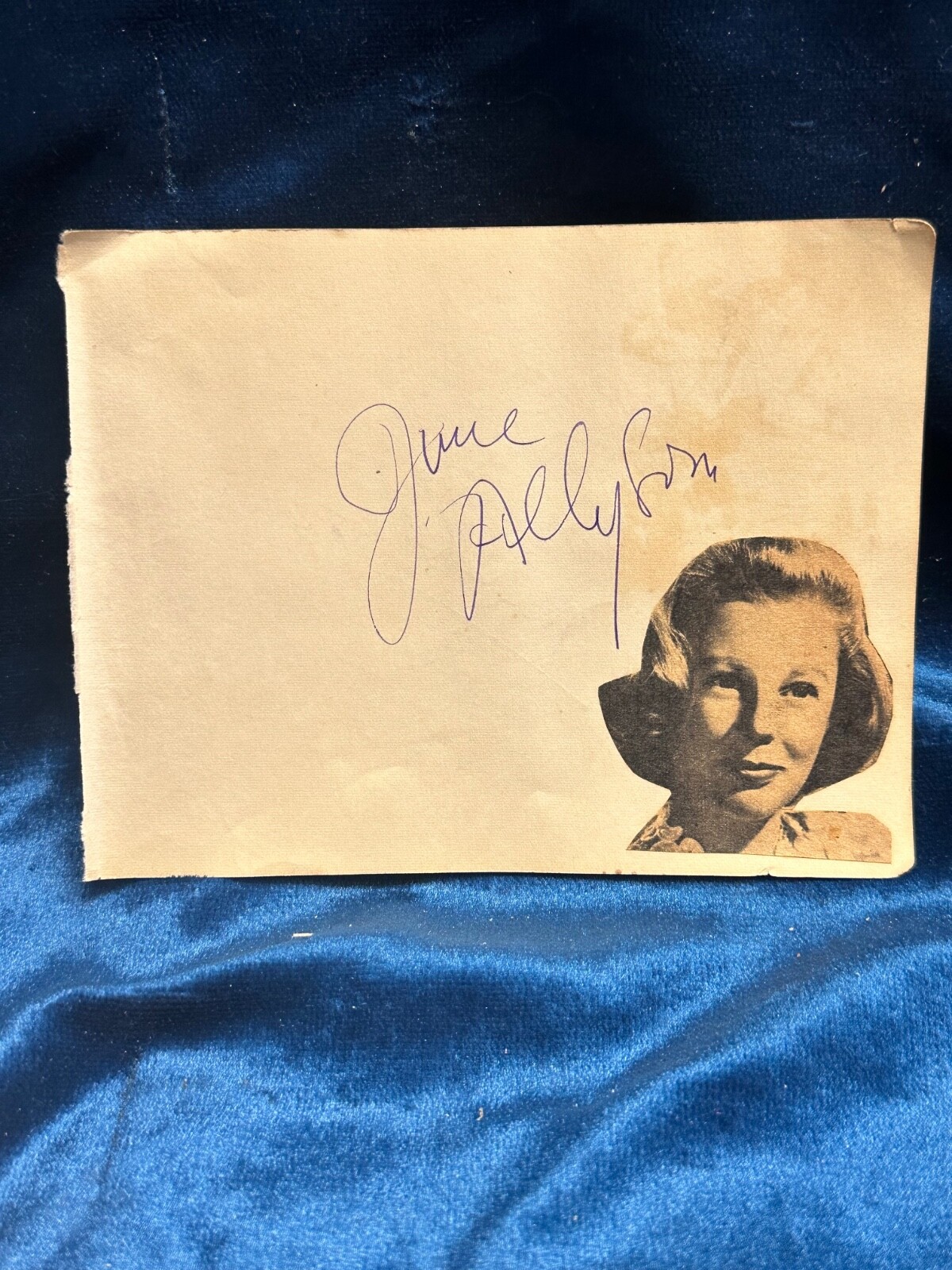 June Allison “Little Women” / Mike Mazurki “Donovan’s Reef” Signed Auto Page