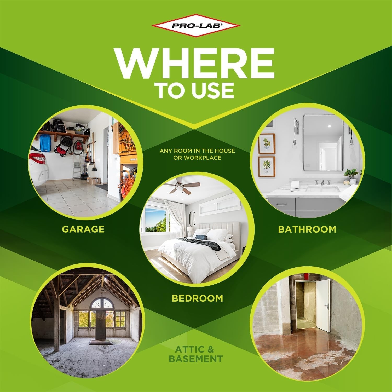 Home Mold Kit: Air, Surface, Bulk Samples + Lab Fee, Expert Advice Included