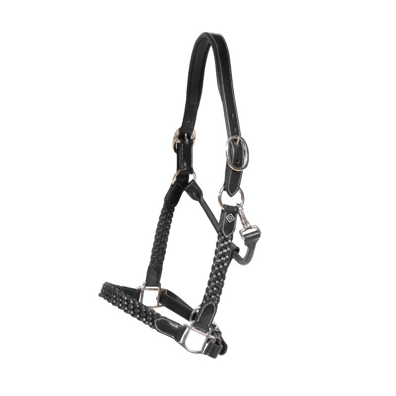 Dion WO Plaited Leather Halter