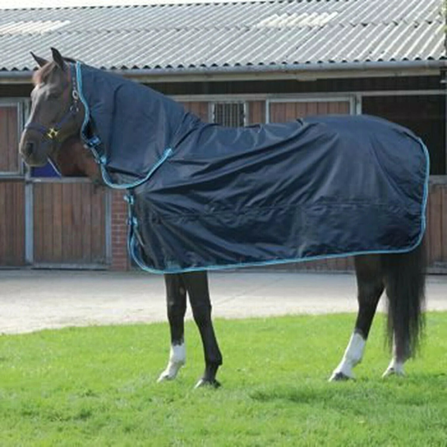 78" SHIRES EQUESTRIAN STOWMARKET COMBO