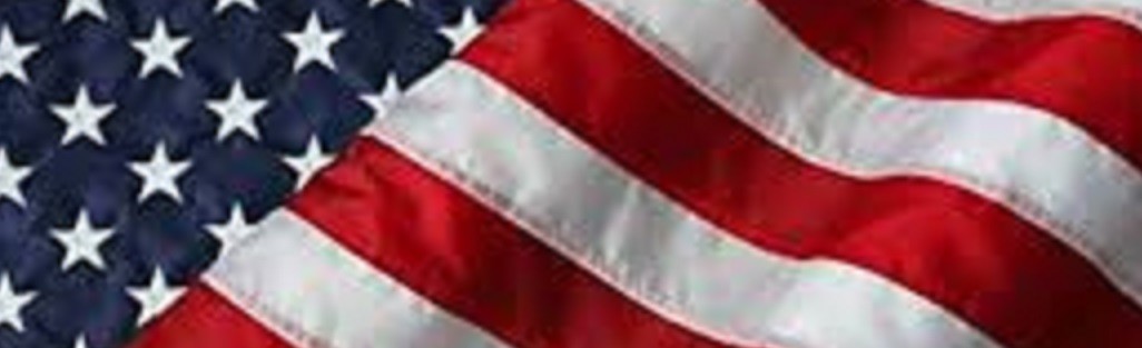 DAESH WHACKER© MARSOC RAIDERS US ADVISERS SFG SP OPS burdock 2" 3-TAB: US Flag