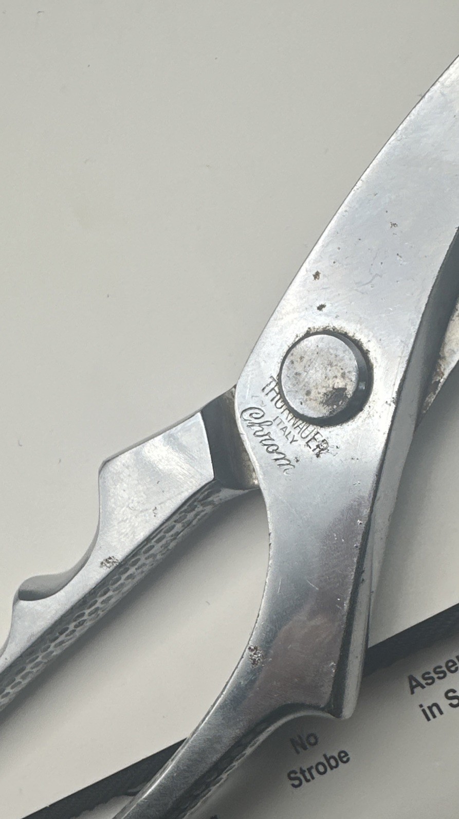 Thurnauer Poultry/Meat Shears Chrome Italy-Read