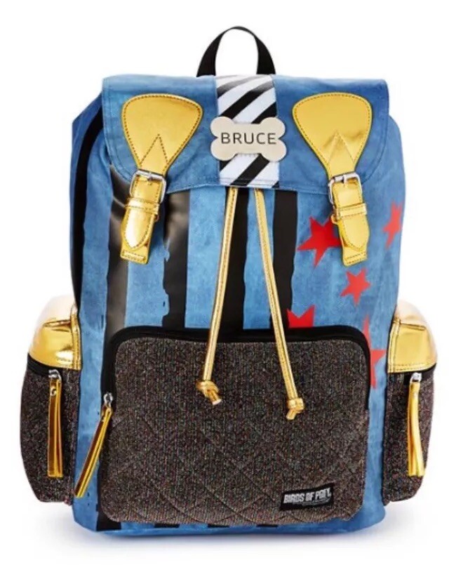 Harley Quinn Large Backpack Birds Of Prey DC Comics Rucksack Bruce Bone Caution