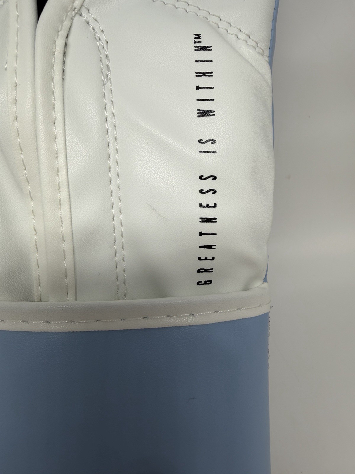 Powerlock OG Boxing Glove Hook & Loop