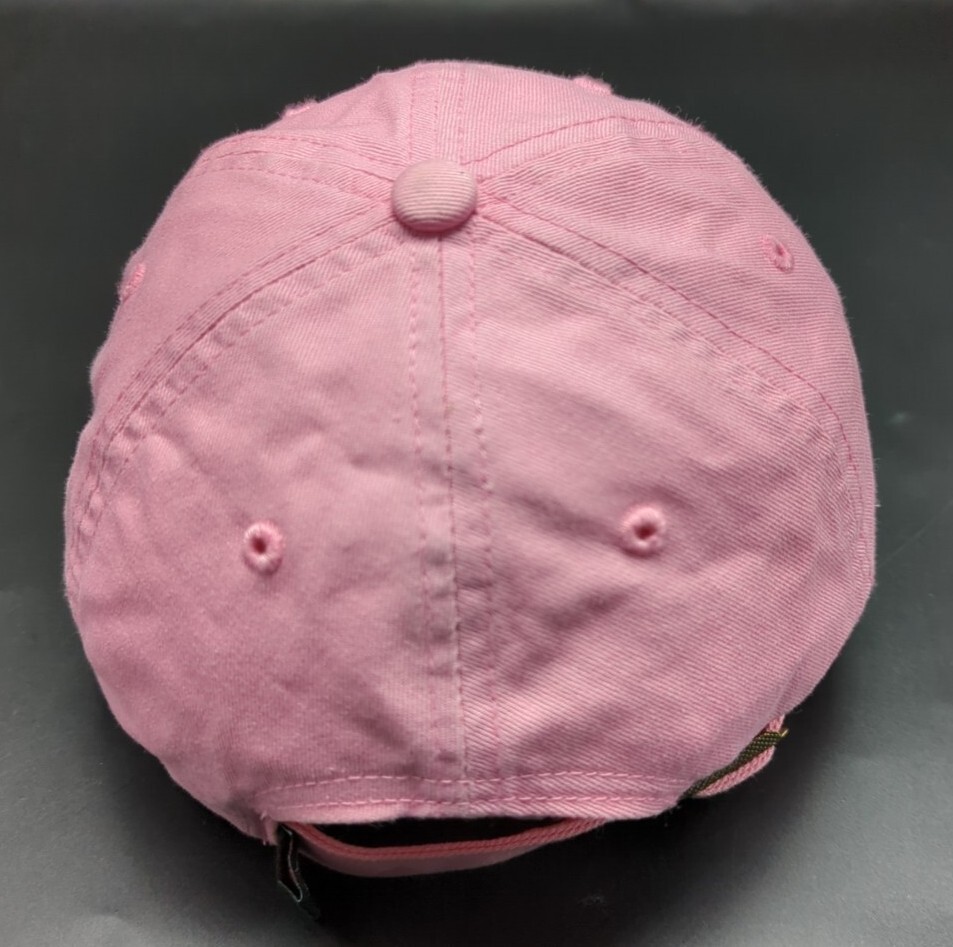 FORT WAYNE TIN CAPS hat pink adjustable cap - Child / Youth Size MiLB