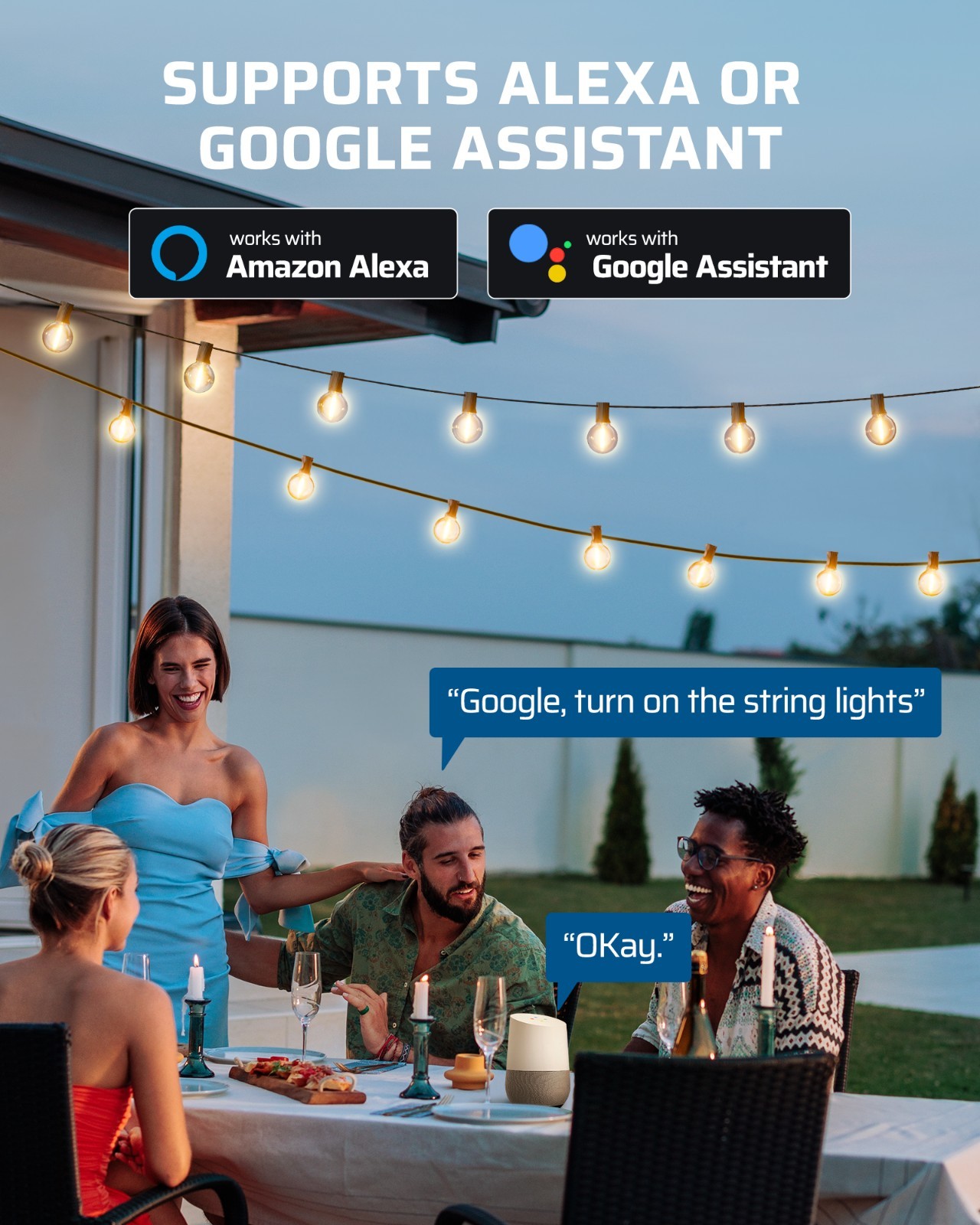 DEWENWILS Outdoor Dimmer for String Lights, Smart Dimmer Plug with Remote, FCC