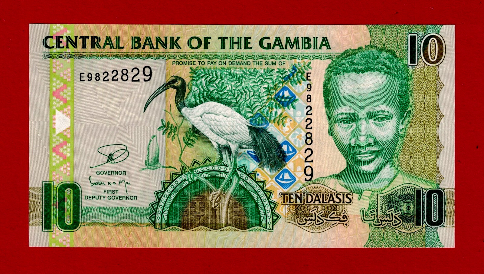 GAMBIA 10 Dalasis 2013 UNC Note w/o White Borders, Sign: Colley & Njai - (P-26c)