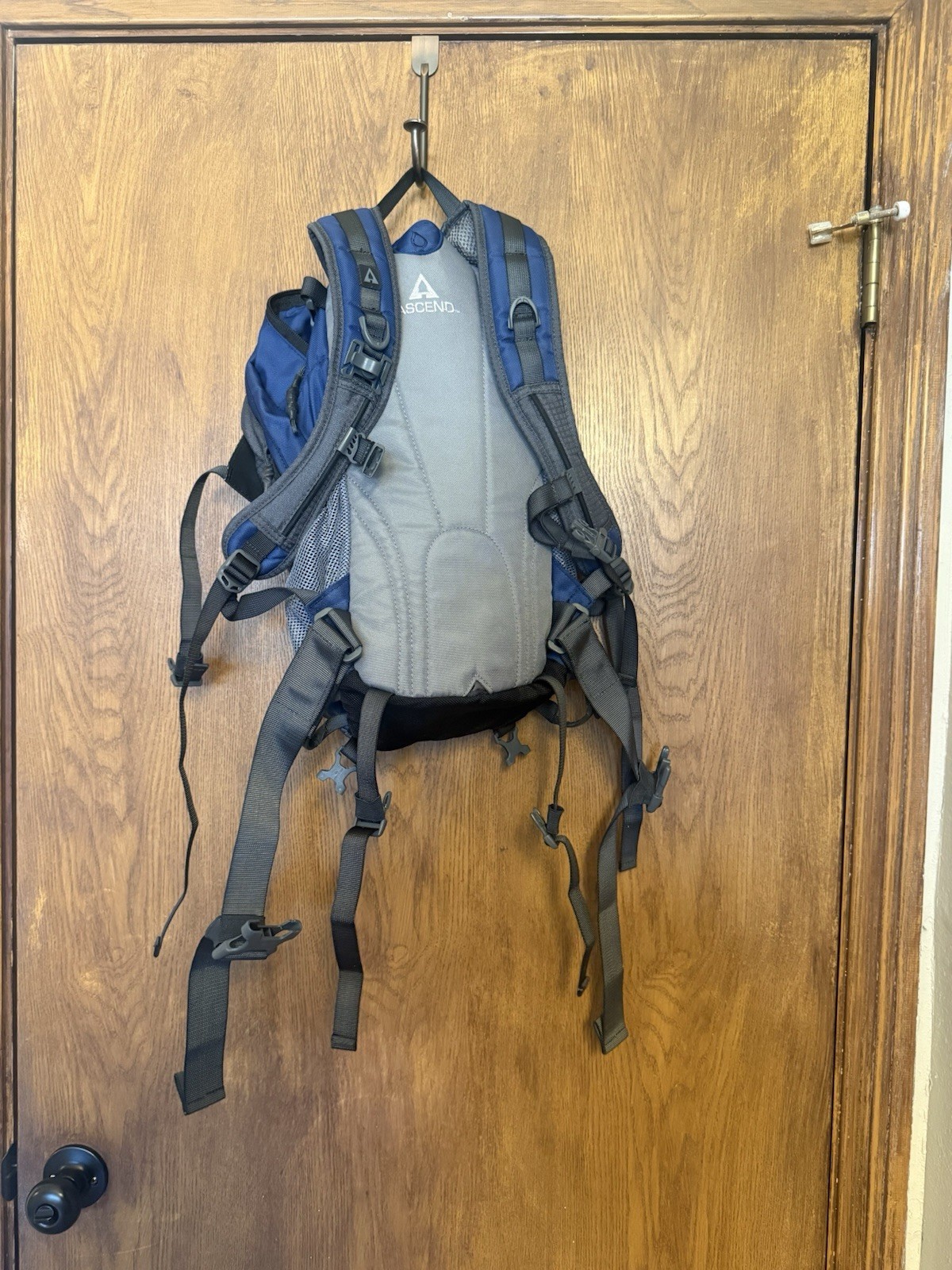 Ascend H1250 2L Hydration Backpack Pack (bladder not Included)