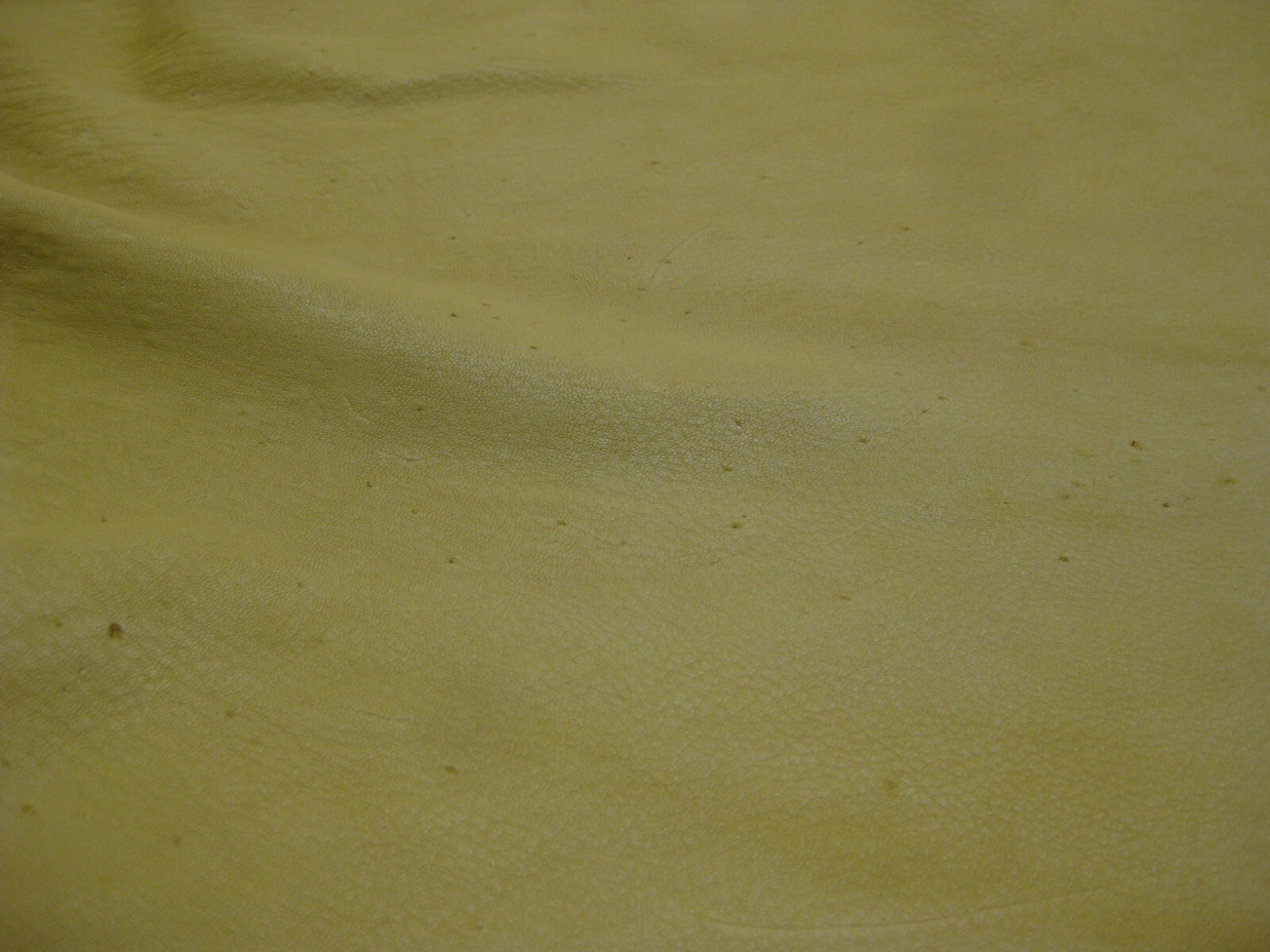 Top Grain Deer Leather # 0013588 ROW QQ