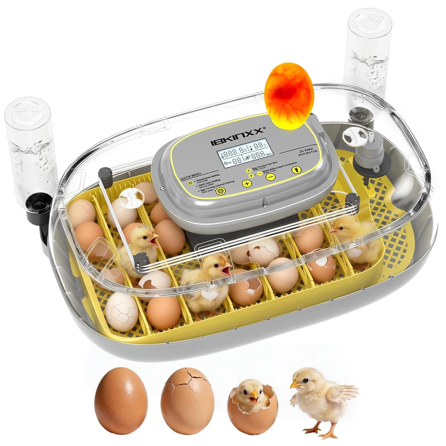 Incubator for Hatching Eggs-24 Egg Capacity, Automatic Egg Turner, Temperature &