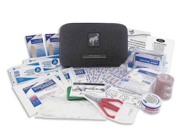 First Aid Safety Kit (VM1PZ19F515C-NOS)