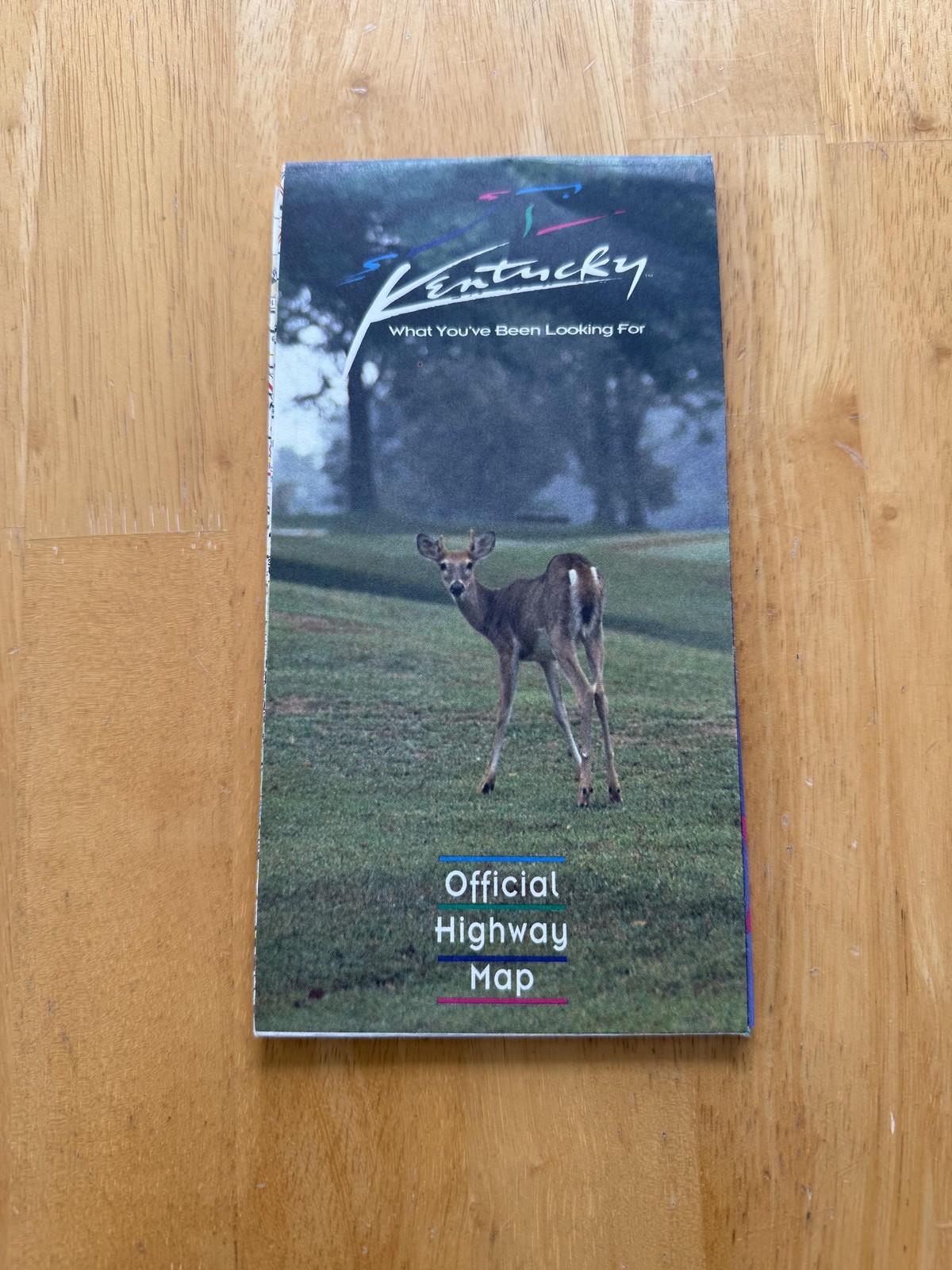 Vintage 1994 Kentucky Official Highway Road Map Travel Folded Brochure USA