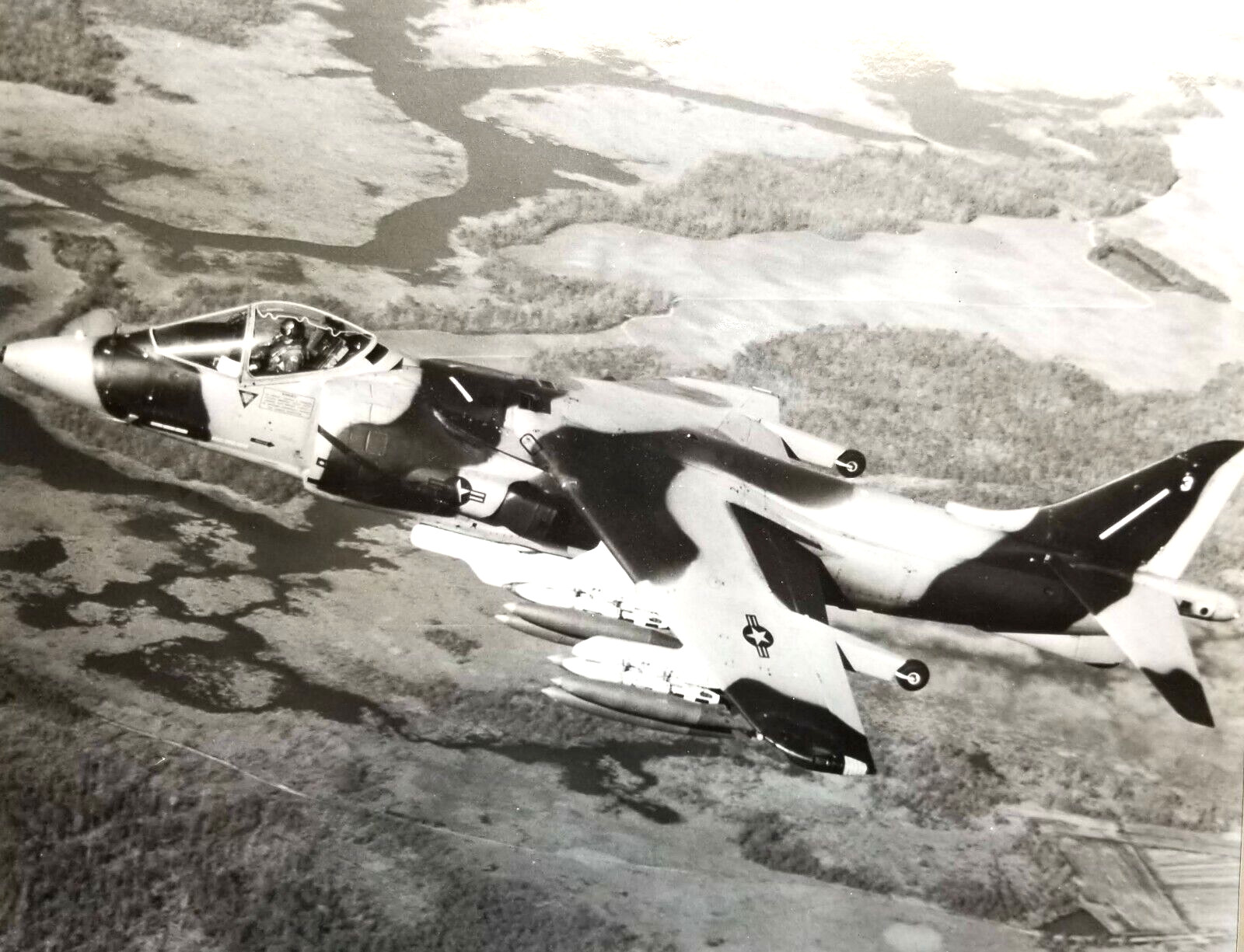 AV88 HARRIER II VTG Photograph Naval Aviation 75th Anniversary USMC Vietnam 8x10