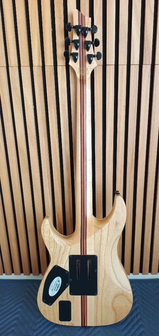 Schecter Electric Guitar C-1 Fr Sls Elite