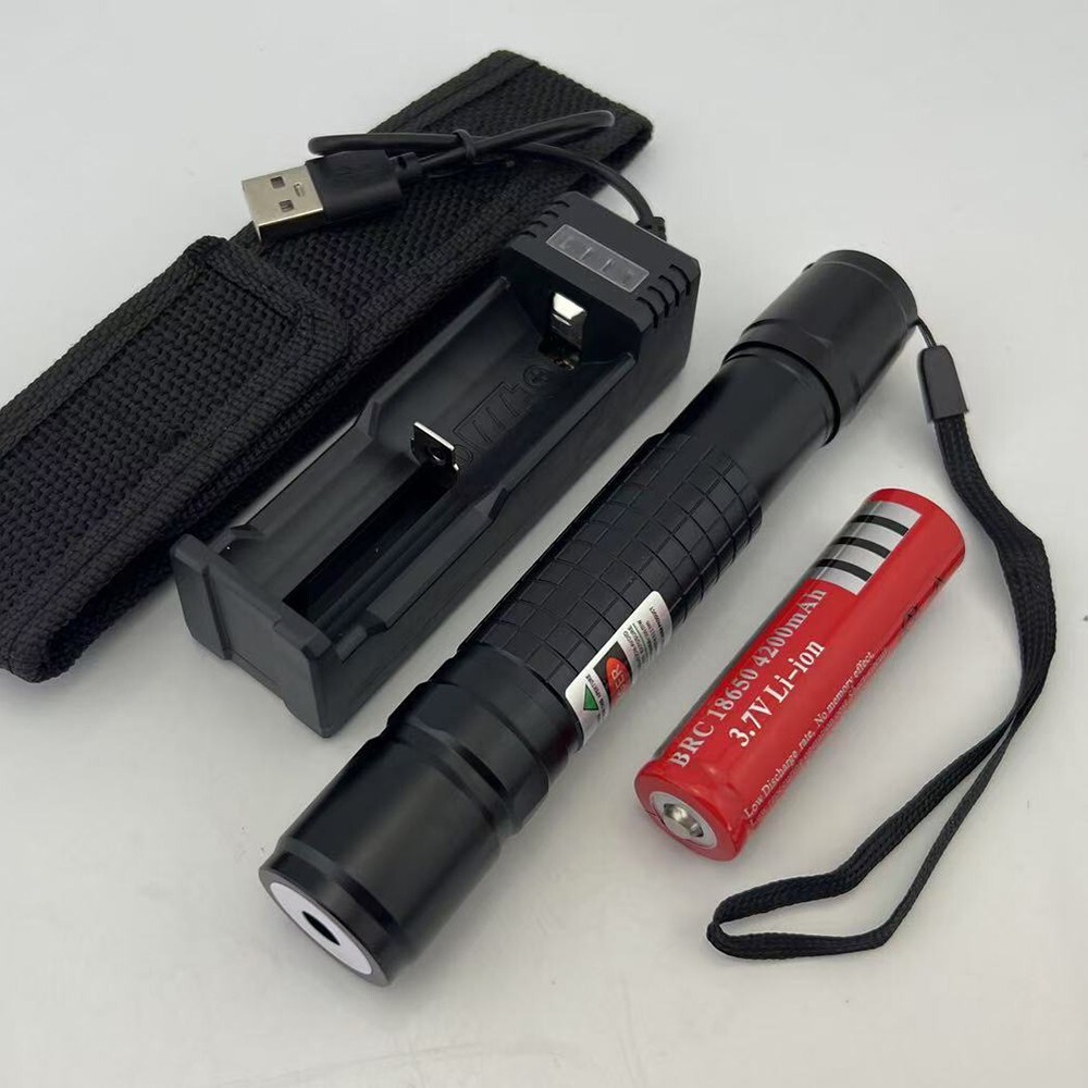 RX2 650nm Focusable Red Laser Pointer & Battery & Charger & Holster US