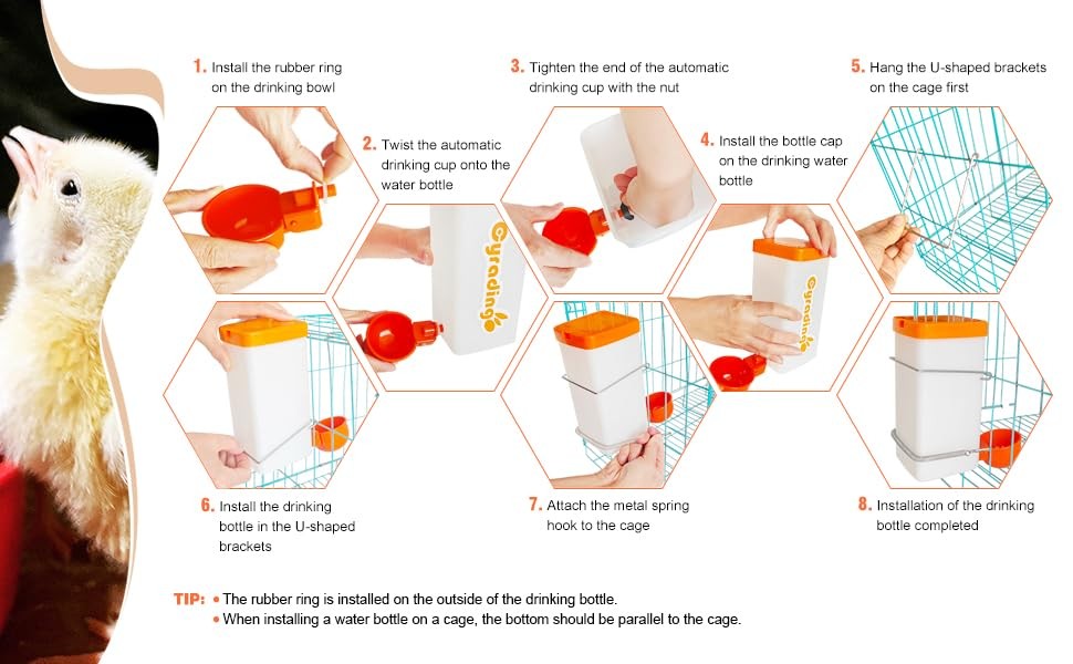 Automatic Waterer System Chick Drinker Cups 1L Hanging Automatic Fill Poultry...