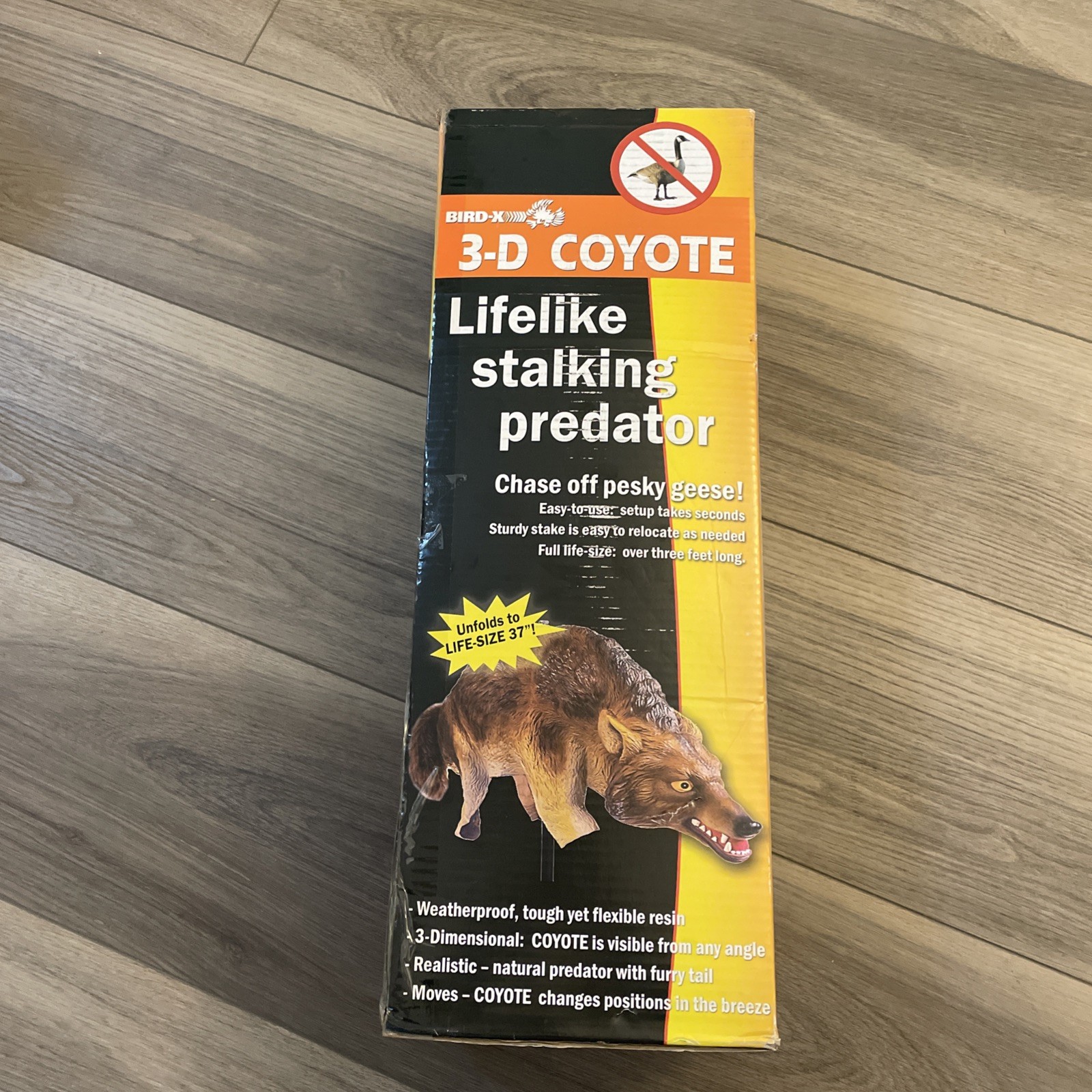 Bird-X Coyote Bird Repeller,3D COYOTE 3-D Bird-X COYOTE 3-D 706069171117 EVA FS