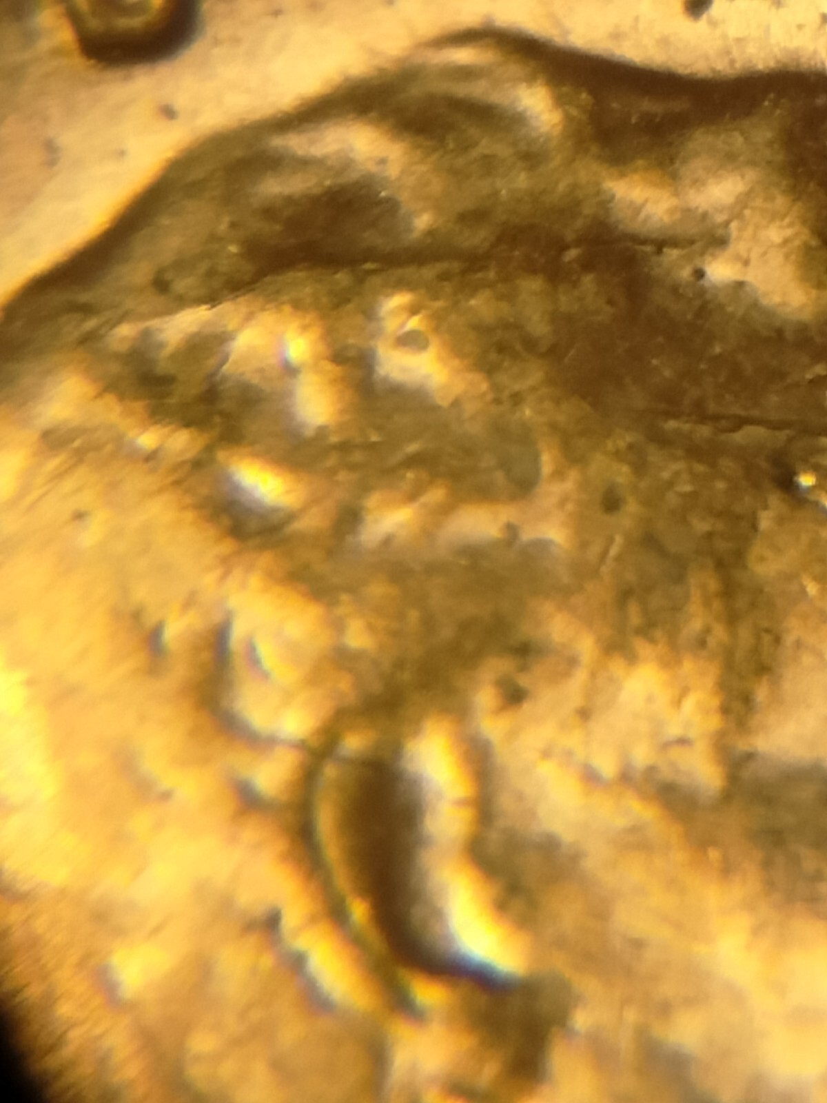 1956 P Lincoln Wheat Cent Retained Die Breaks Die Breaks