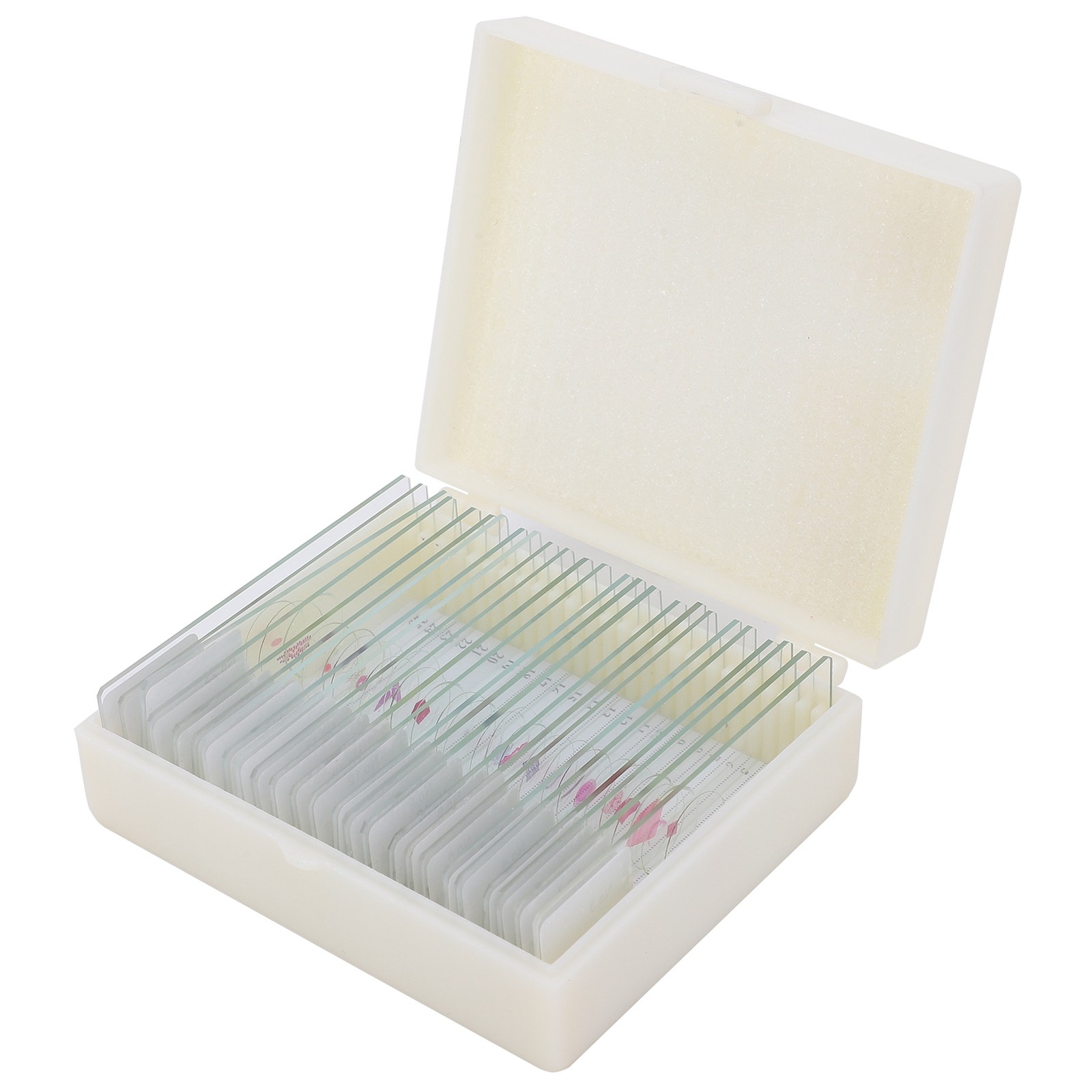 25Pcs Animal Slides Microscope Sample Slides For Science Education Popular