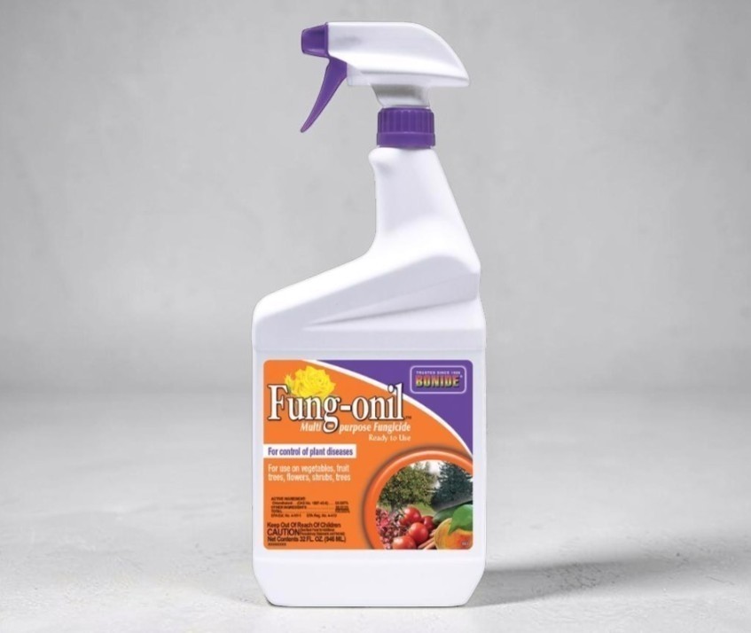 Bonide Fung-onil Multipurpose Fungicide, Ready-to-Use Garden Spray, 32oz