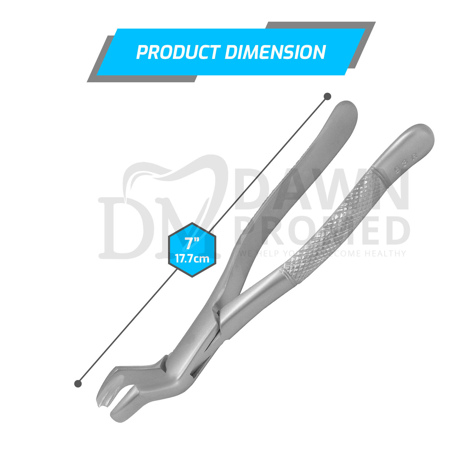 Dental Extracting Forceps #53R For Upper 1st & 2nd Molar Extraction German Grade
