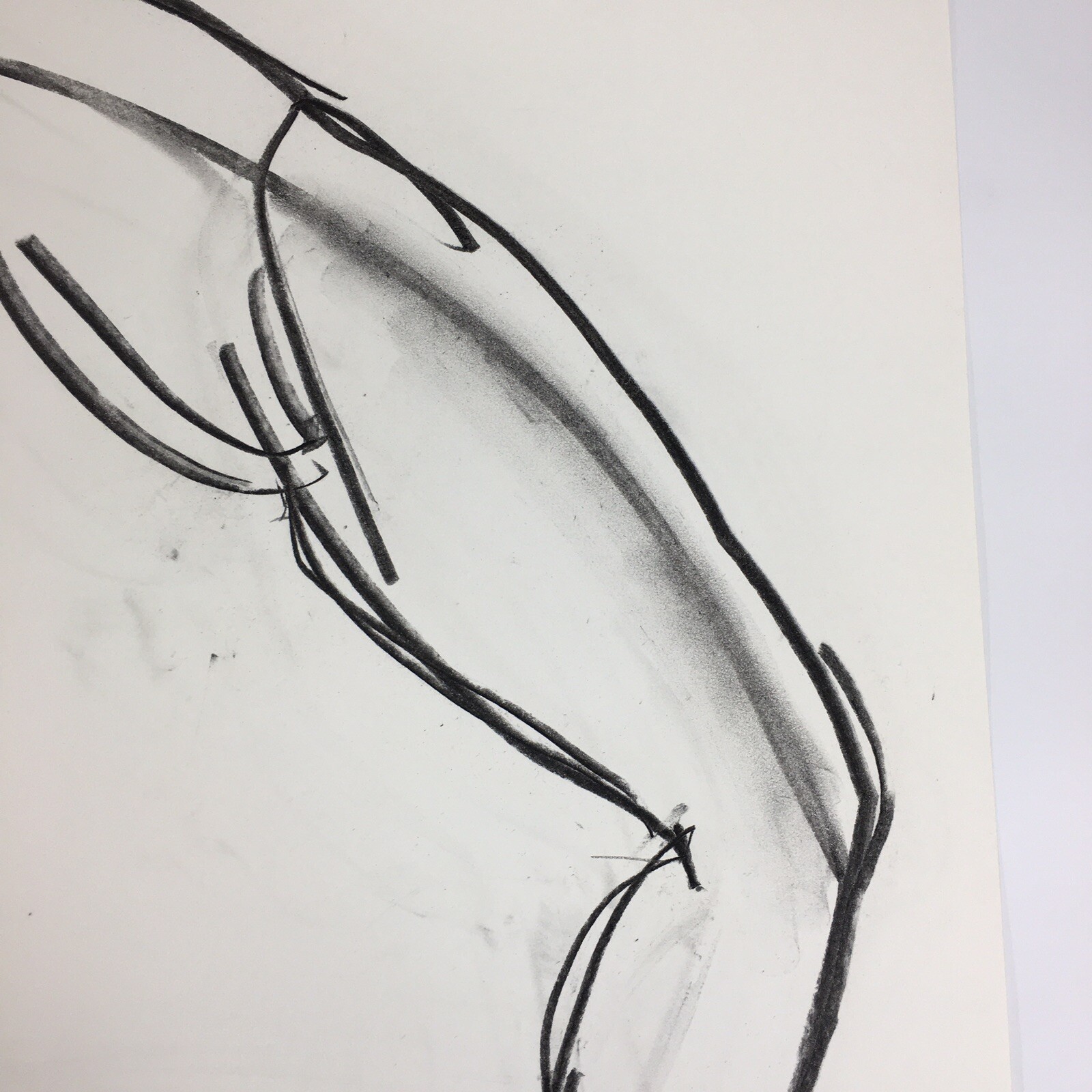 Kip Gresham Unsigned Original Charcoal Drawing Gymnast Curwen Archive #14