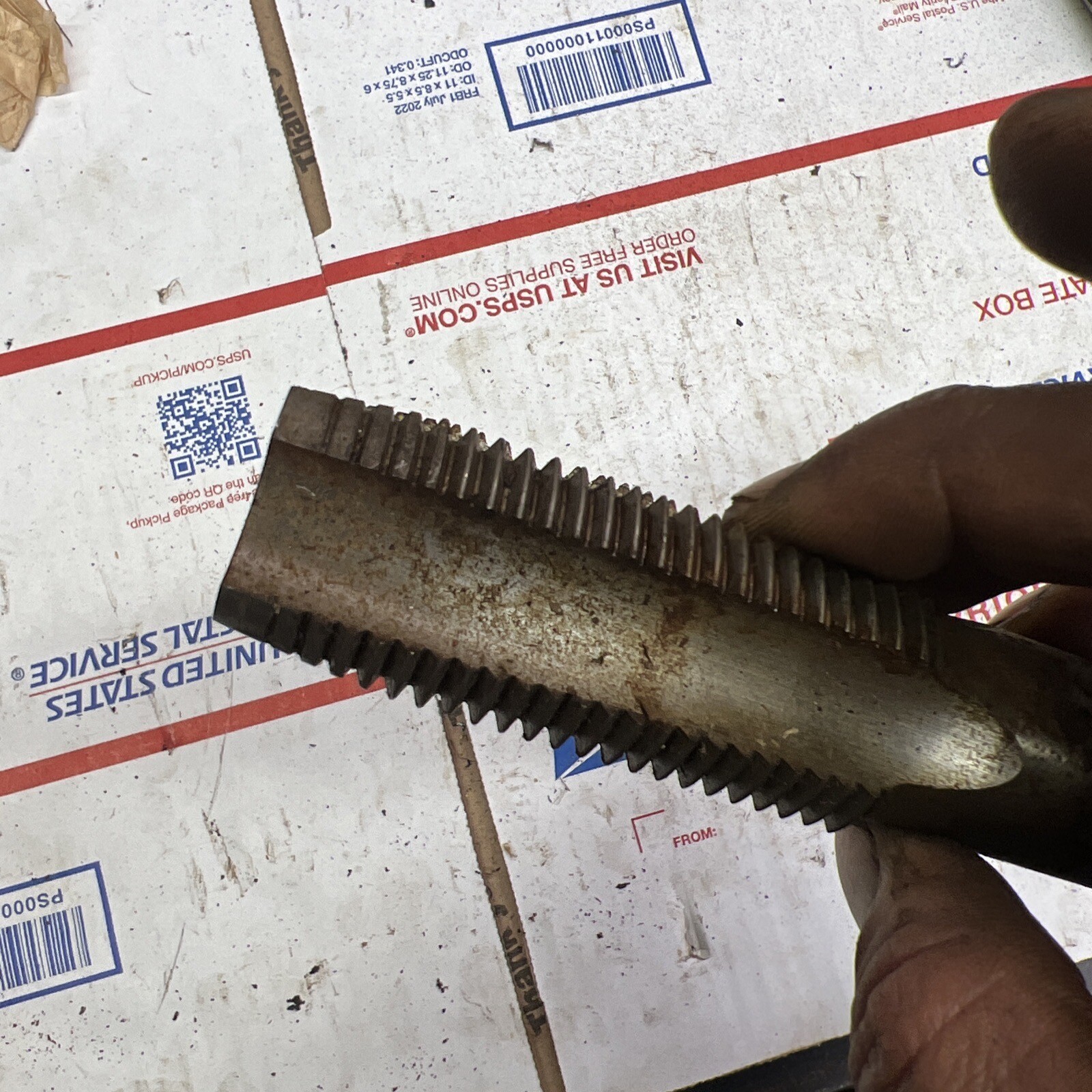 Warrior 1-3/8x8 BSF
