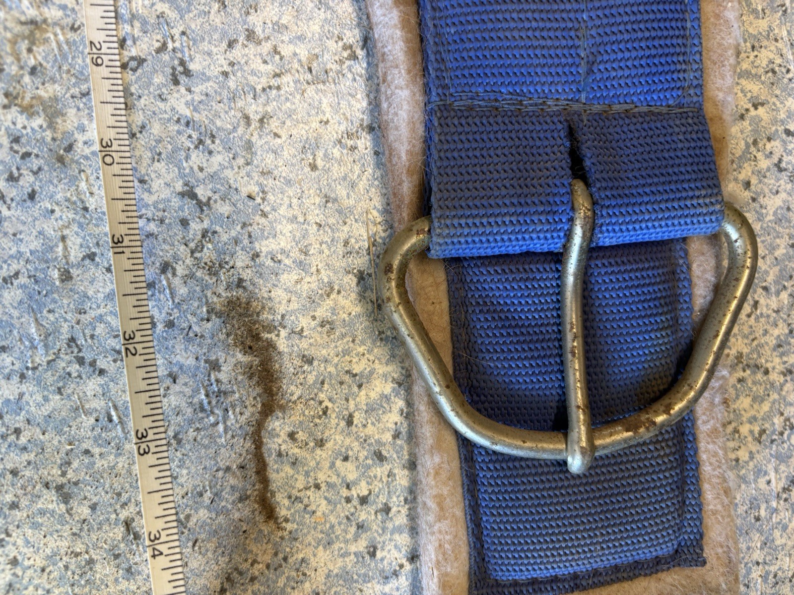 Felt Western Cinch