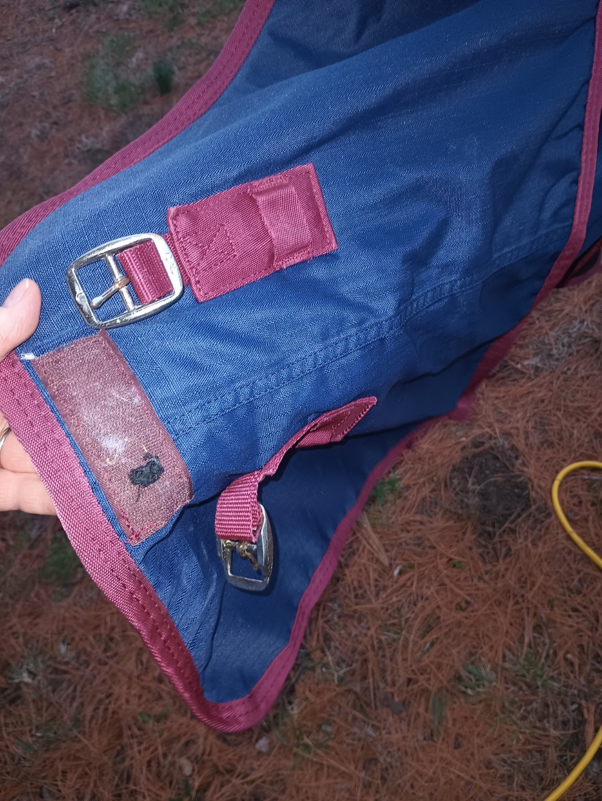Ozark Leather Blue/Red Winter Horse Blanket 80"