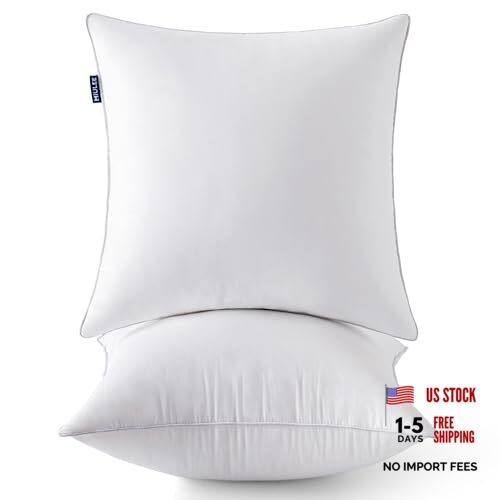 0 x0 Pillow Inserts (Set of) -Throw Pillows for Couch Sofa with 20x20 Inch 2
