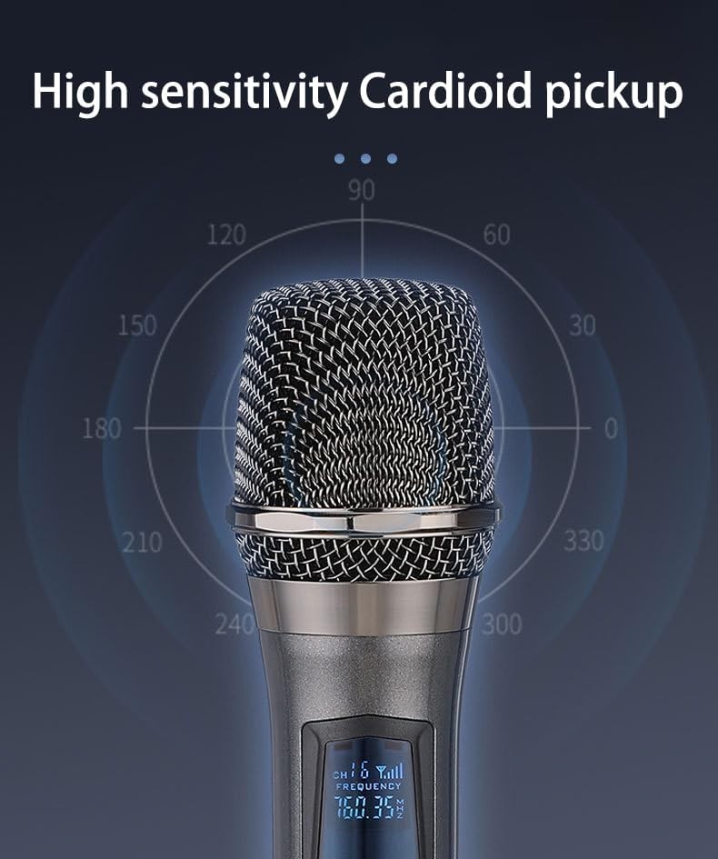 Rechargeable Fixed Frequency Wireless Dual Microphone,Handheld Dynamic Mic