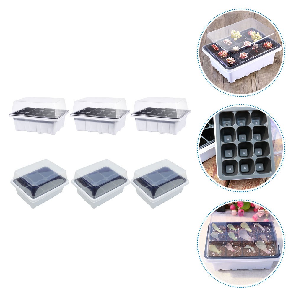 Multi Plastic Plant Starter Boxes for Home with Simple Structure Design 6 Pcs